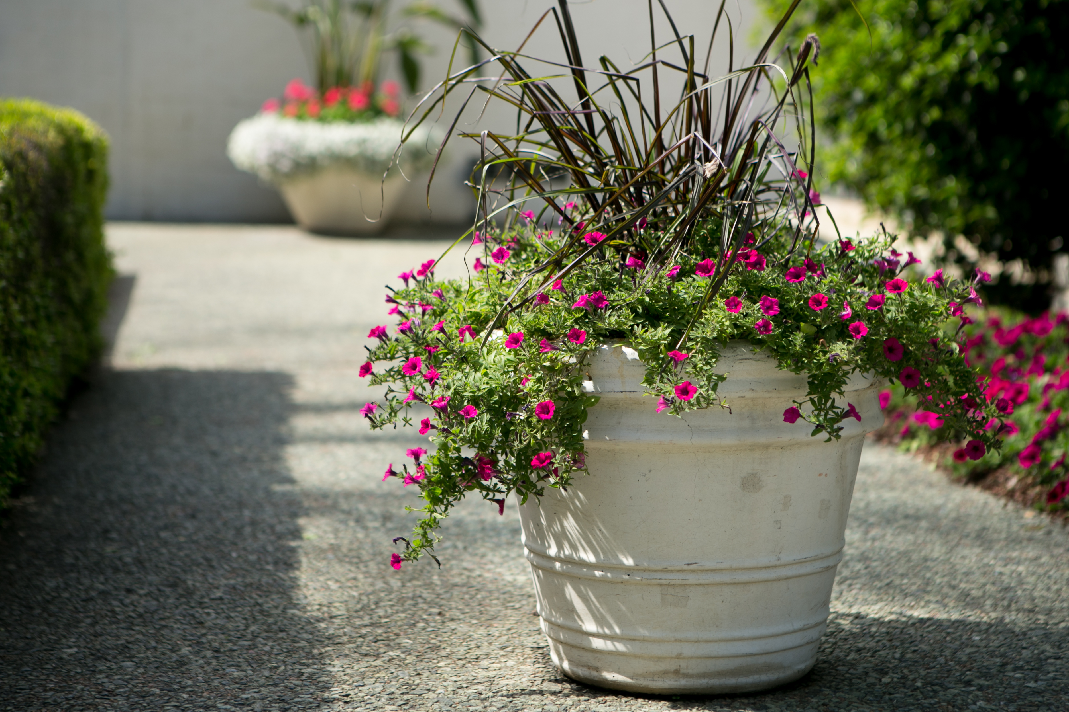 Concrete Outdoor Planters for Lasting Commercial Appeal