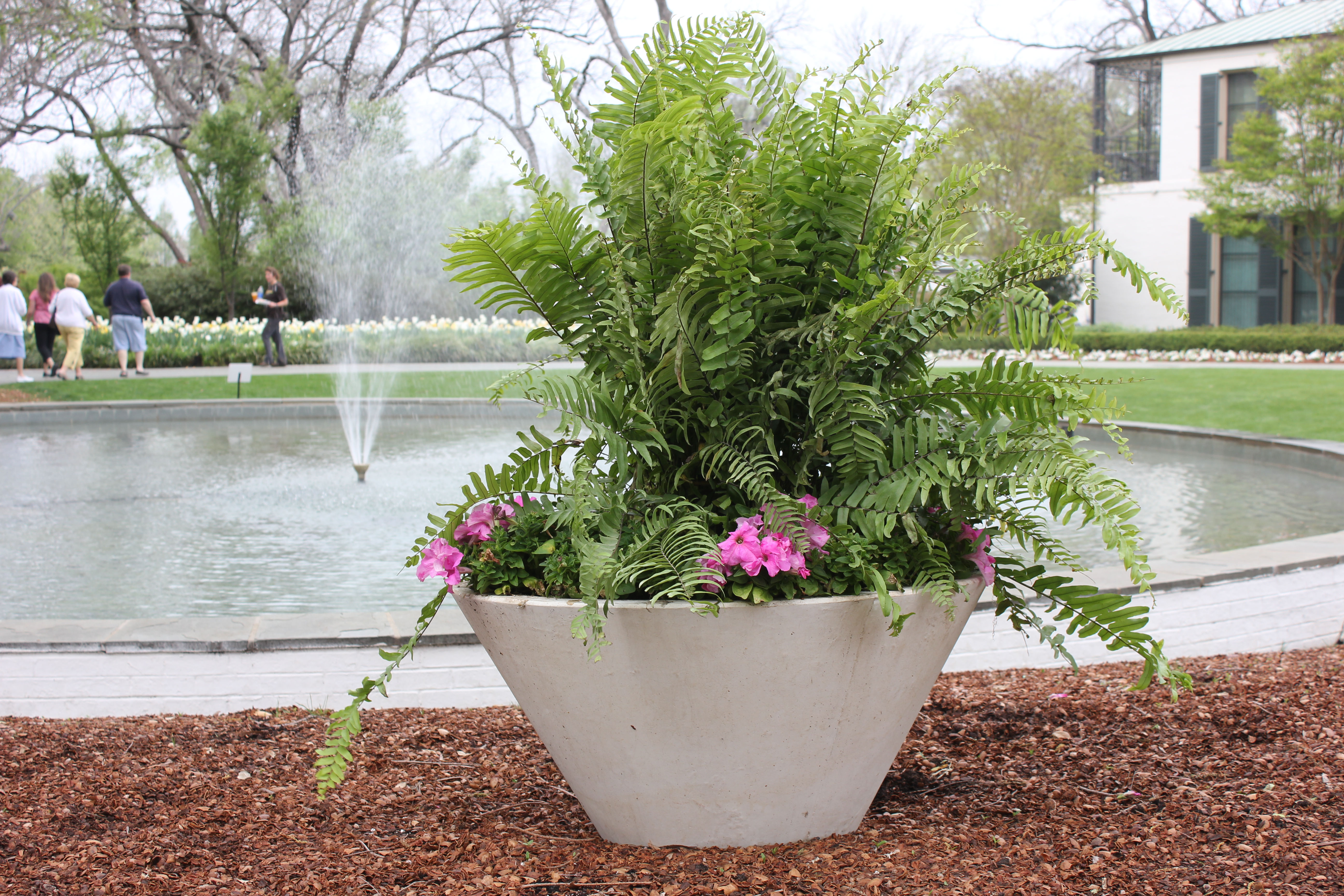 Strobile Planter 215-in